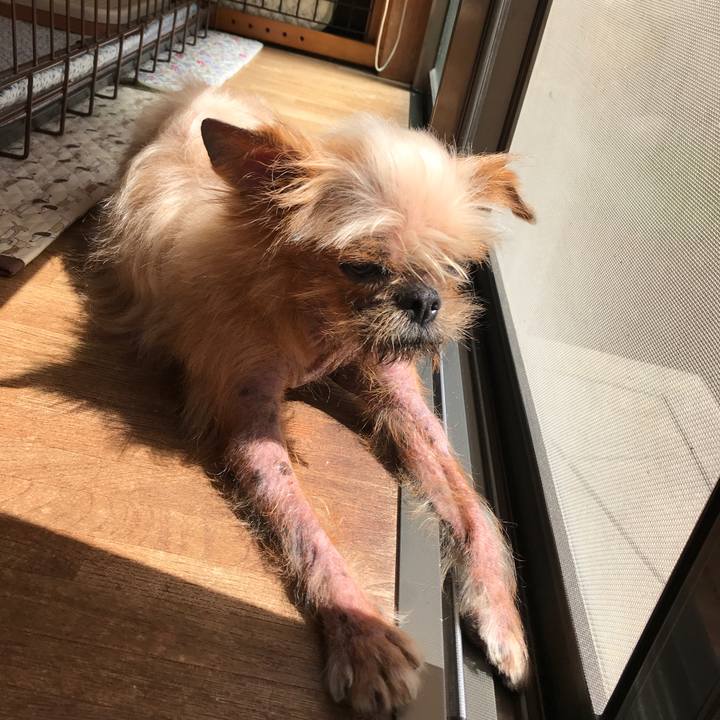 822602c5 2c1f 4e3b 9319 5f4699c85575 1530577638503