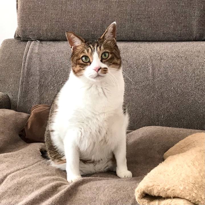 8226196b 23dc 48dc 84ab e746056e3034 1608083599370