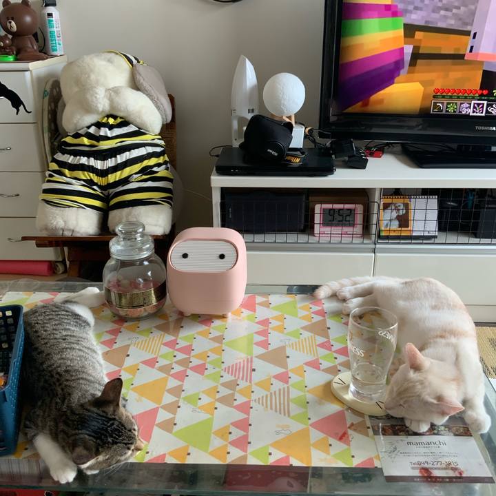 82262f0c f751 4593 bdfe a235ee738d28 1629852874760