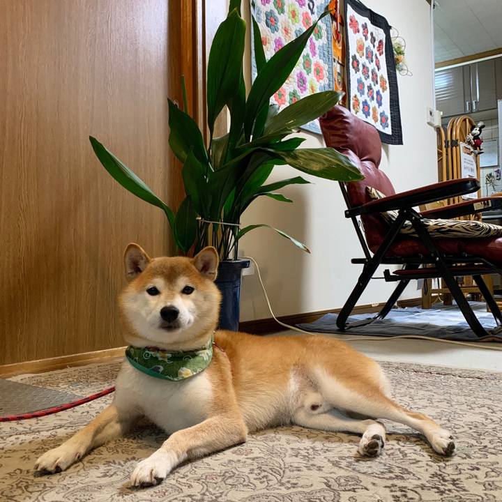 822652e5 fe28 4454 a203 3012a2accf9e 1599469854852