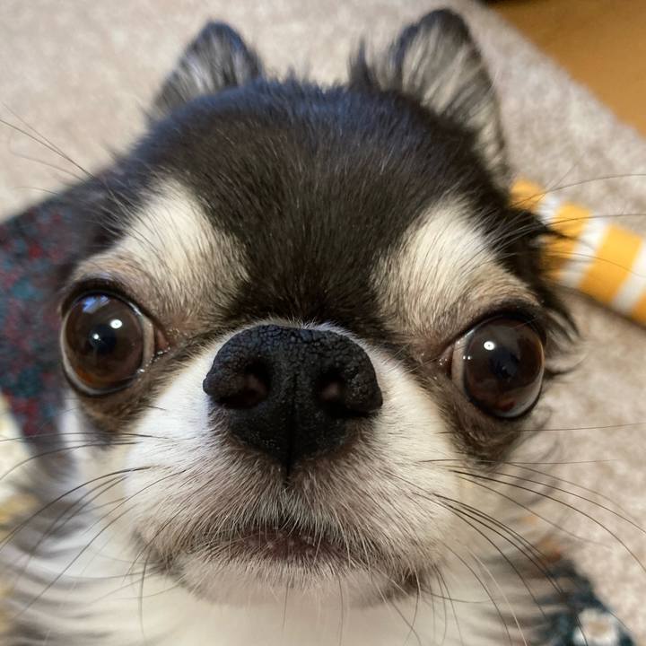 82265788 ffbb 4b23 ab8f 10173bca2f11 1694298251786