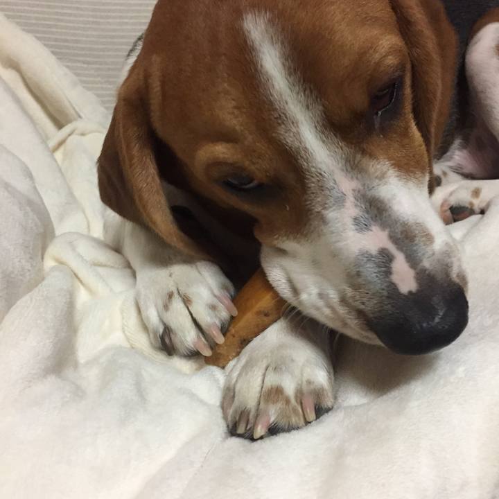 822682b8 3c23 48ac b1dc 01620e37975c 1539695732409