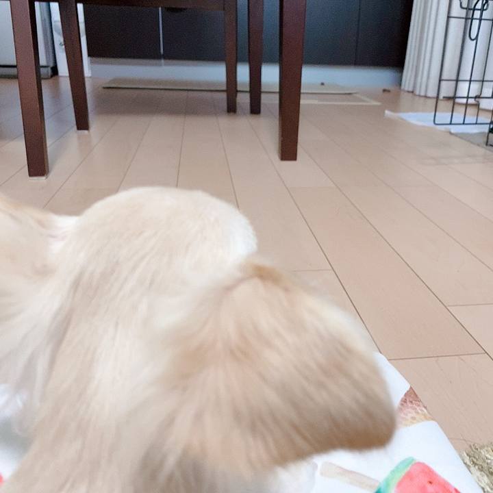 82269b9b 2a40 4b48 aab0 f37409291fbc 1594428044110