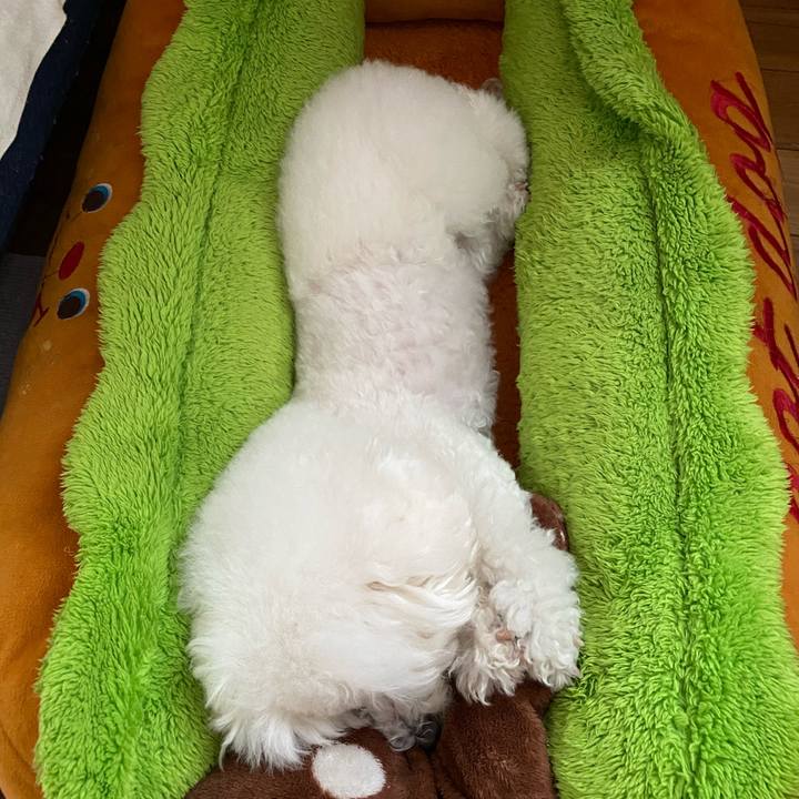 8226b832 8c4d 4e52 9d0f 8794c92f0f04 1617179450894