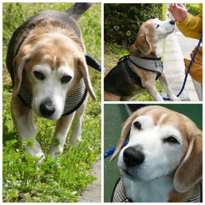 8226bfdf 62af 442e 8697 9e6887b79b0b 1663114997707