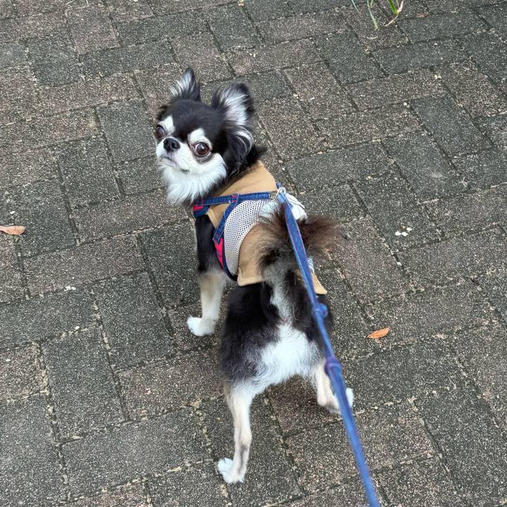 8226d304 9220 4498 932b 996a8f9eeb68 1725725276819