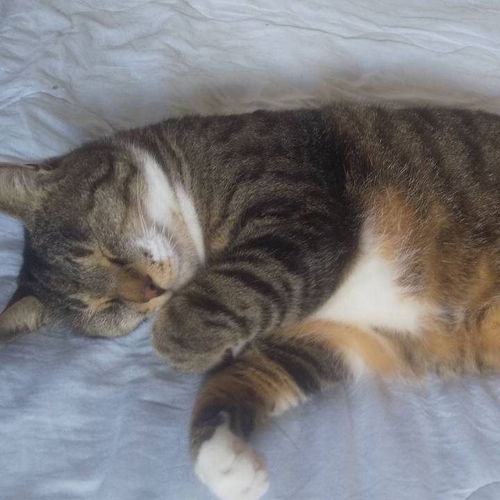 8227431f 19f5 4c77 b865 ae22516b12fb 1750196252013