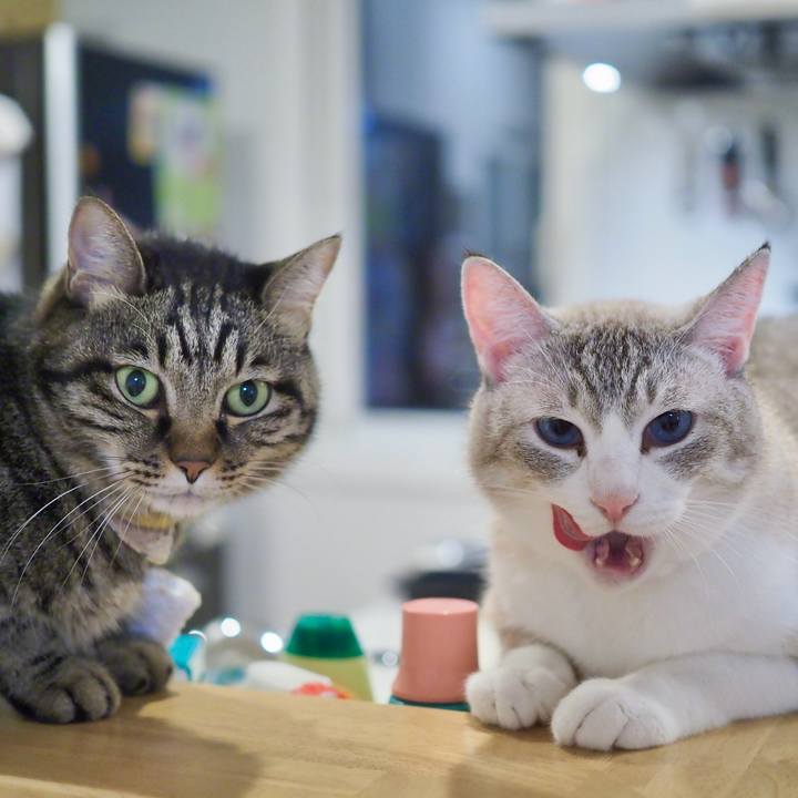 822744ed ee55 4444 8491 9d262a53e105 1730864933975