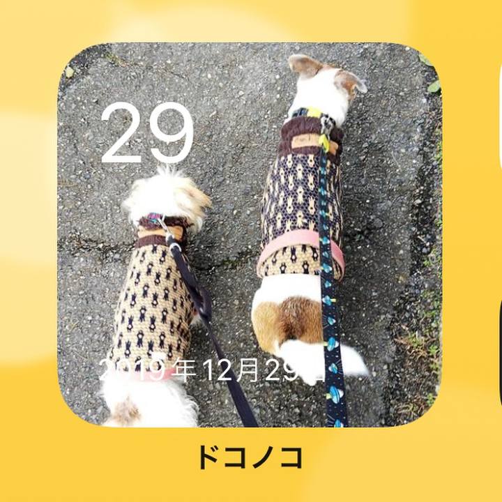 8227a41d d69a 438a 8926 4b1ca1e62def 1640741745477