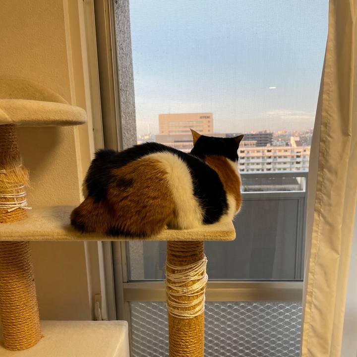 8227c7b0 da96 4a59 b8d4 5d4db6d9e182 1635377252335