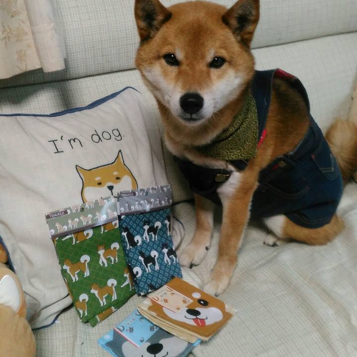 8227e4b8 87a9 461f 9c0d 2aacfd461aa9 1523941962789