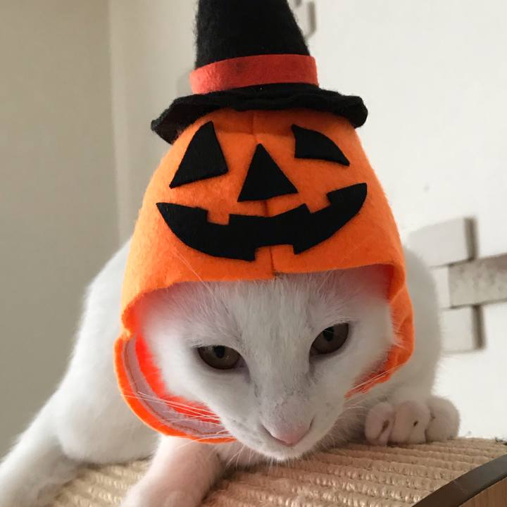 822806be e02b 45c8 acfe 2d6c6a9d7c05 1572493965089