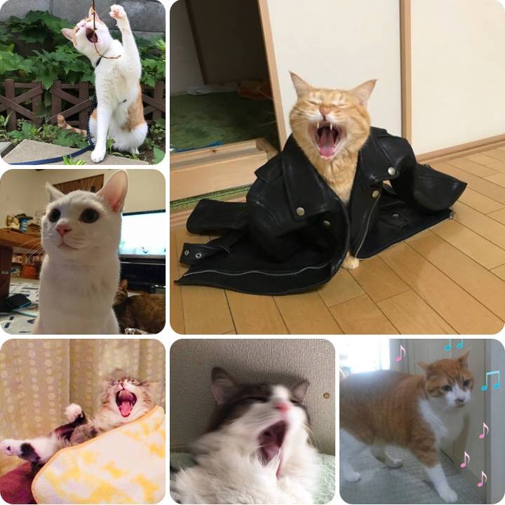 82283051 6a85 49c1 bf01 3bd417f3d867 1521068894589