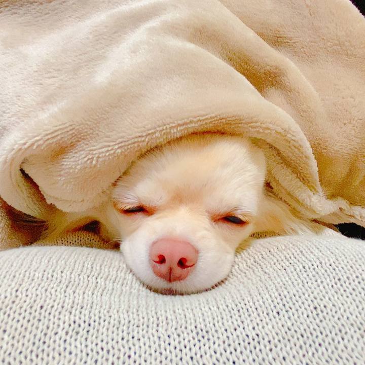 822858c3 cfed 4f7c bcb8 c685597becf5 1621515204944