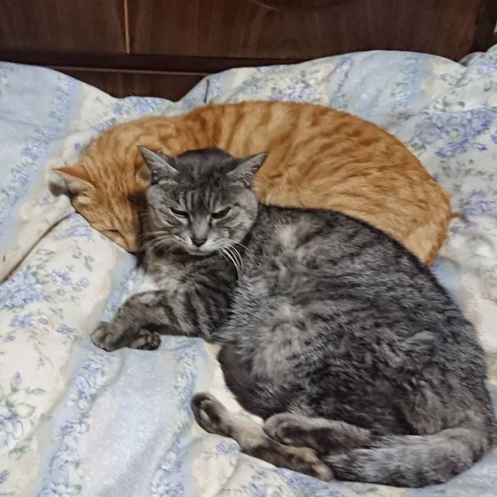 8228a1cd f514 4fcf b102 280f389ac6ac 1582719554282