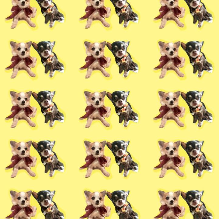 8228b1cb da50 436b 8746 9b9f269f900c 1532246285936