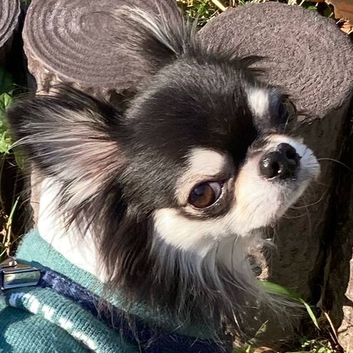 8228d5e2 a03f 4219 a552 937dbf9ad893 1668868751954