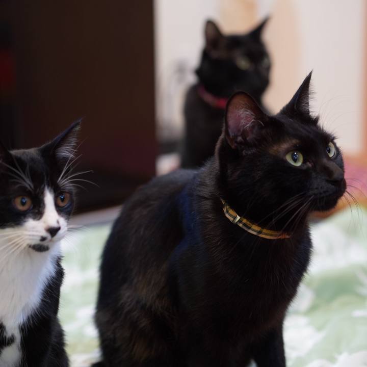 8228f395 350f 4f3a bd5e 5ca140e9b390 1576193697907