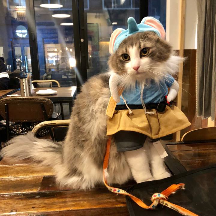 8228f629 cd5f 462e 905c 5724b8746917 1604069861258