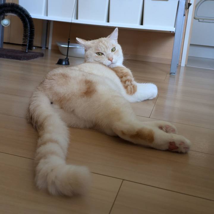 8229205e 198f 4763 8efe 72b04c43fb0c 1718331842007