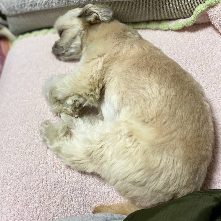 82292a06 f605 4f7f 9c29 0d6aad3e7393 1581414528101