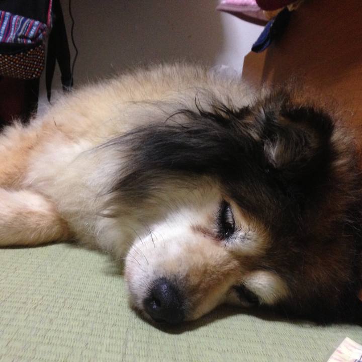 822947ee a575 411d ae77 a5ff300849ad 1555839958196