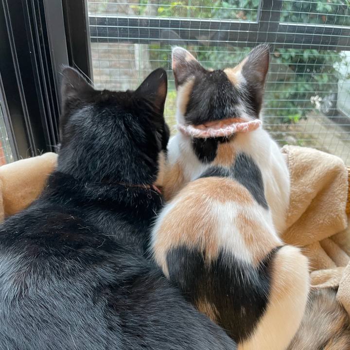 82295420 0c8c 4f28 82fa 7ea25d62f481 1669099363400