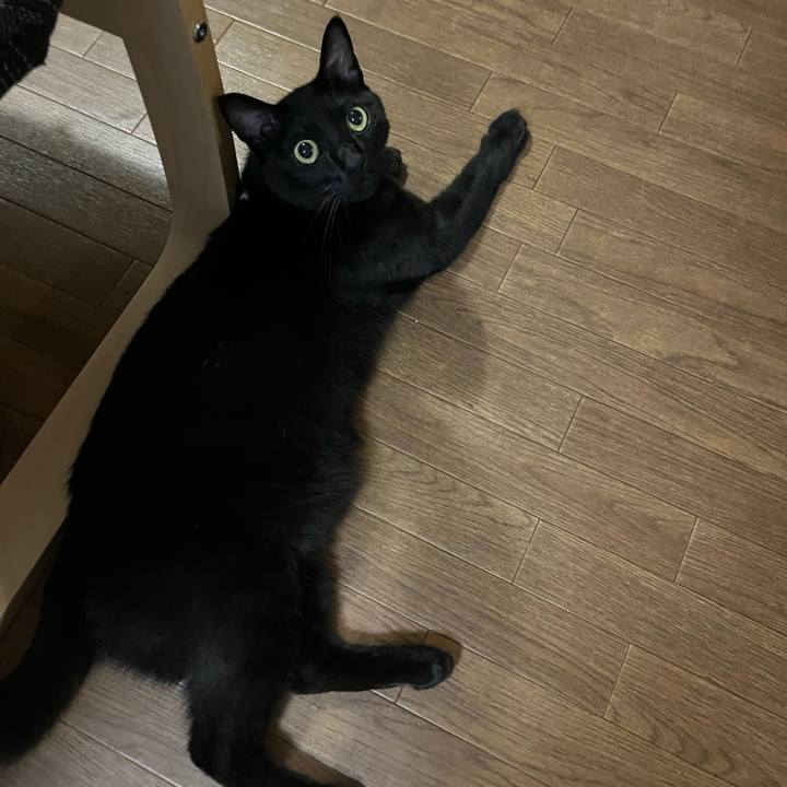 82295cdd 5f94 4264 b7e6 39ada647cb9e 1689598823255