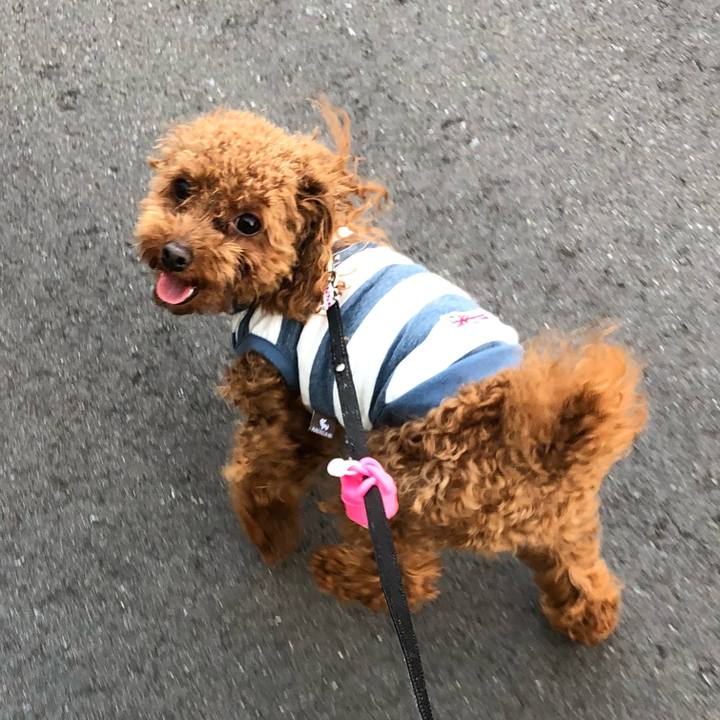 8229ae6e 5e75 4350 920d 3a117b6860cb 1524989906275