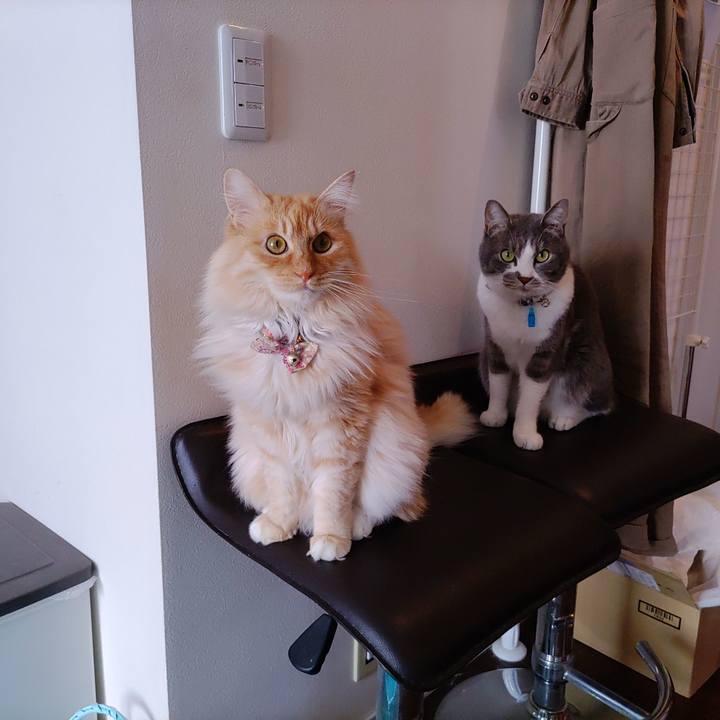 8229b67d 5a10 4216 81e0 8028cb13e358 1674011804827