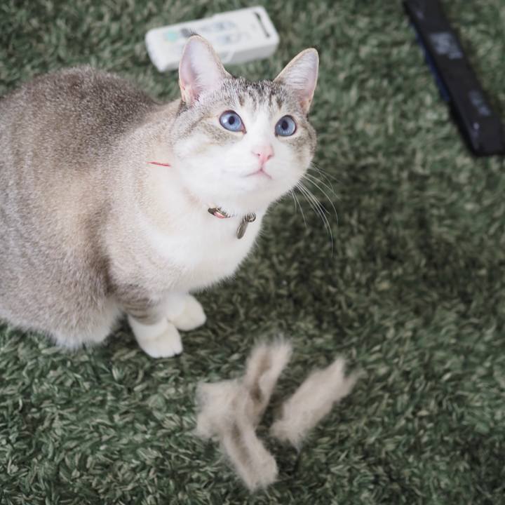 8229e63d 21f8 4189 b171 f7a8dd2f31ba 1621895134148