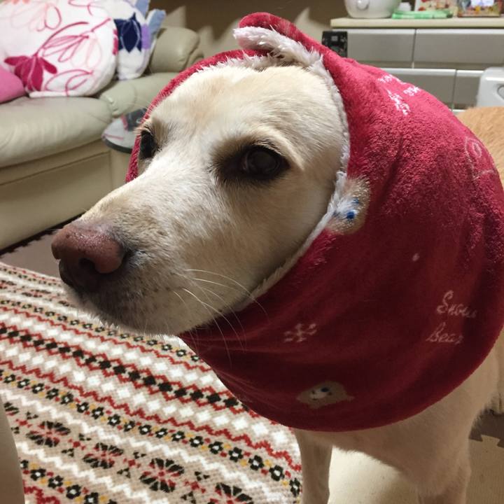 822a05db 8ba4 428c baea 179b113aaa73 1517128285068