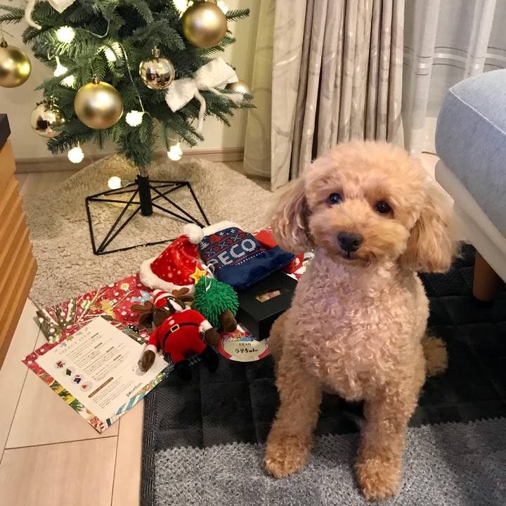 822a3f68 9b0e 4d9e a4c7 004d0f5f30c8 1577195747925