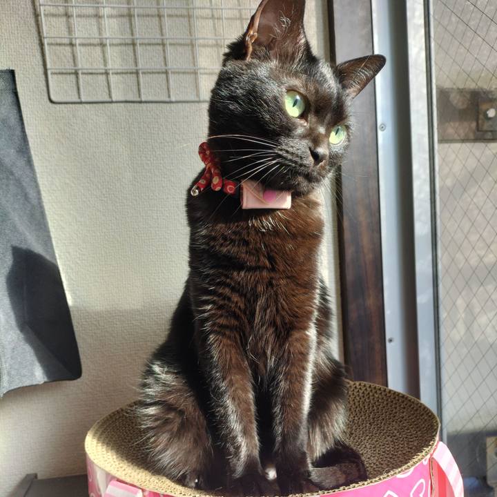 822a4361 5f7d 4dde b415 da1c6f7c4b48 1636847477528