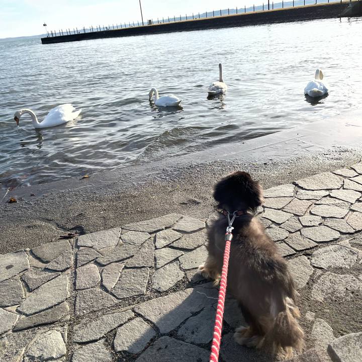 822aafdb 8469 4ac4 b240 c0acc18ee434 1669471399299