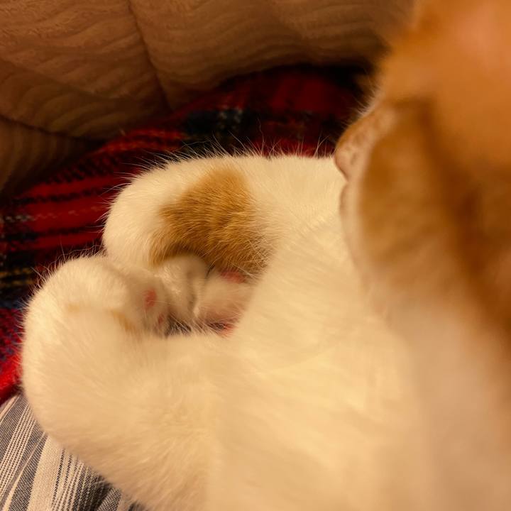 822ab8bb b61e 4ff8 859c b6caee6ebbeb 1641293907043