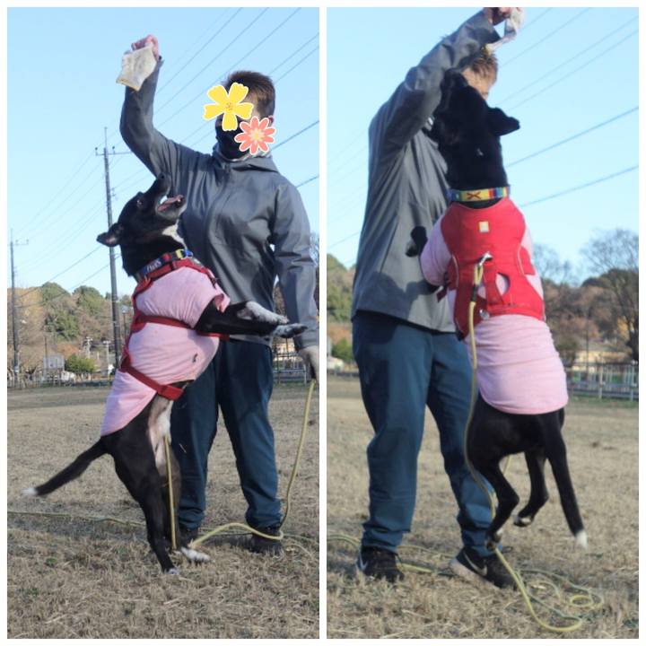 822adcae 3e68 46ec 845e 06a1ffbf0082 1671067642659