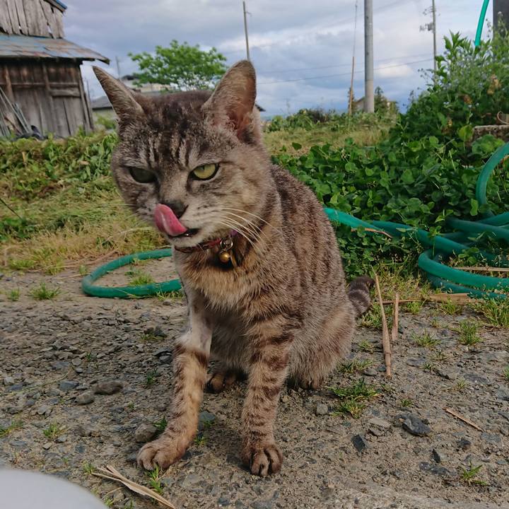 822b0263 252b 4952 b5d3 4eab18a57de5 1589702867384