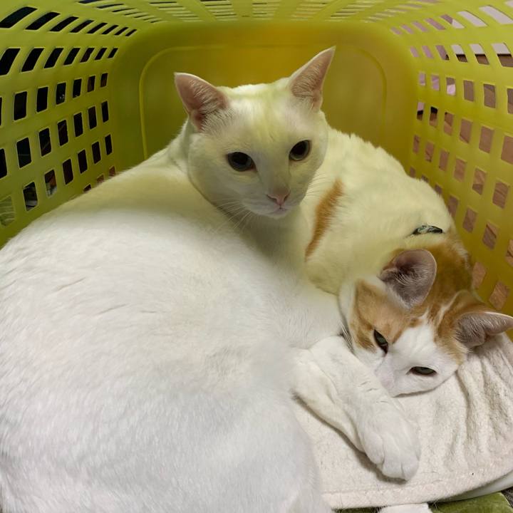 822b0e9b b057 41e4 81b4 e5cacdbcfa9d 1555253467422