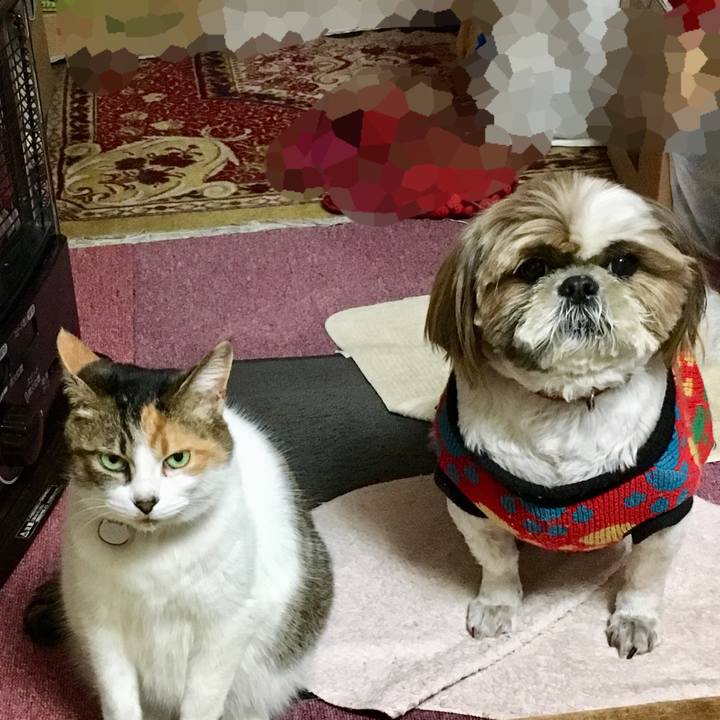 822b5257 221e 4497 acb9 1e22c54aafdf 1519467364764