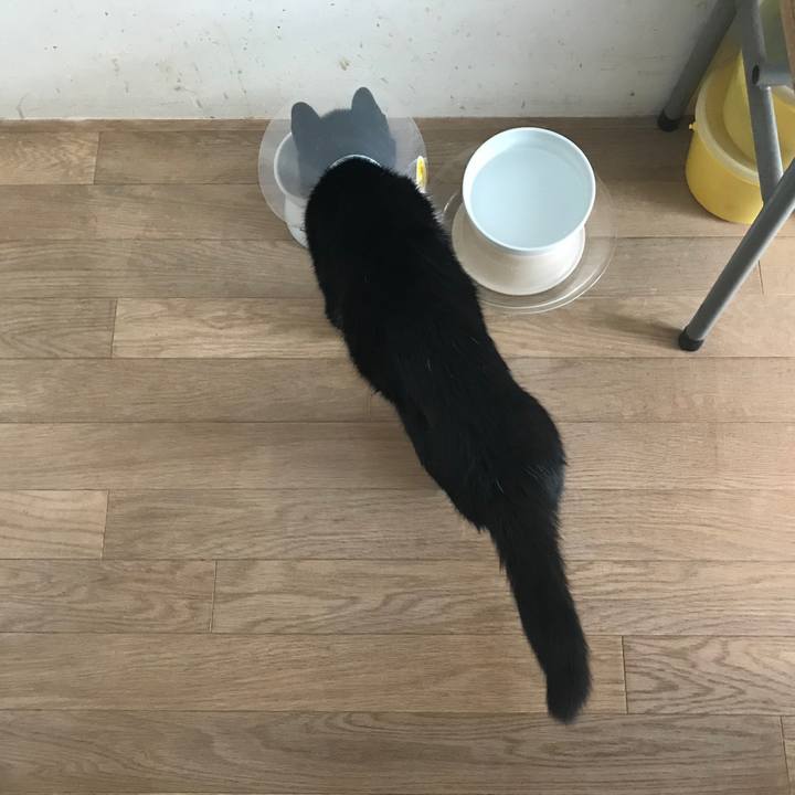 822b5ffb 4343 4d81 854f dbace510fa11 1579071699640