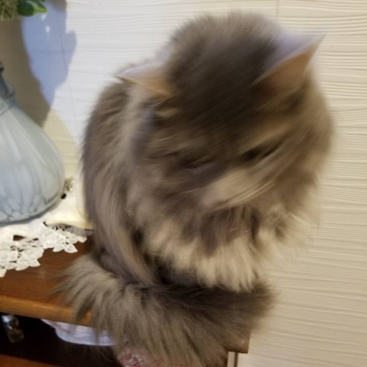 822baf21 9aa3 4aac aeae ef1c4c76f6a6 1553564570322