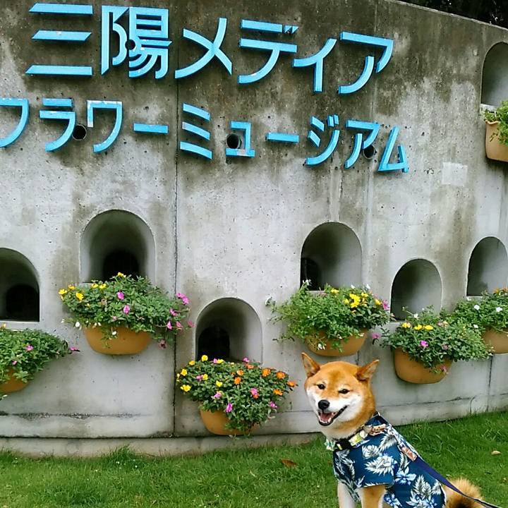 822bd3ce 680d 483c 9707 8e3a1f7b8d3e 1561879598174