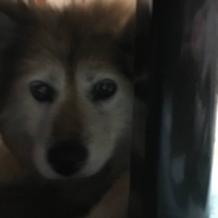 822c2ab6 544a 4501 bc5a 9dbc6ff06c1d 1617022660558