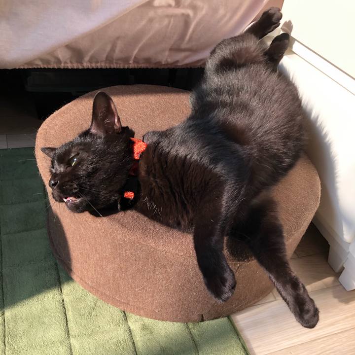 822c671e 5e9c 4bbf 9b1d d0f9a1e8826a 1561026748154