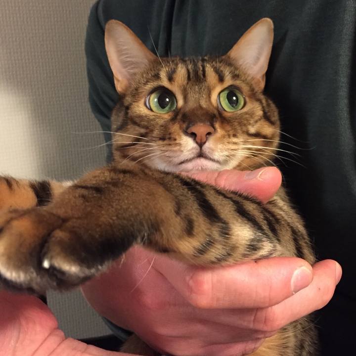 822ca54e 5668 4e19 8ee9 441af5ee6ca9 1521756504335