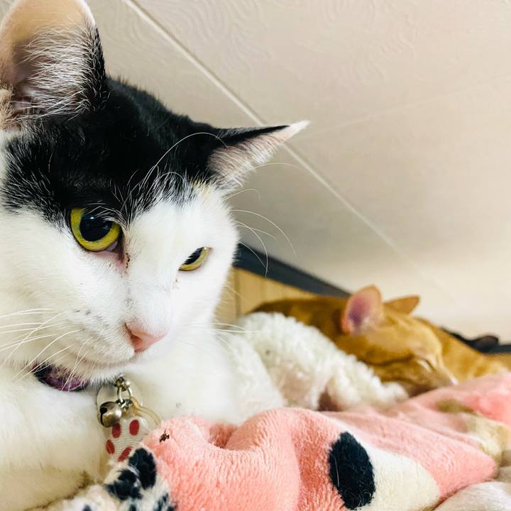 822ca778 809e 4cf2 9c2a 892c498b9f6b 1741003981100