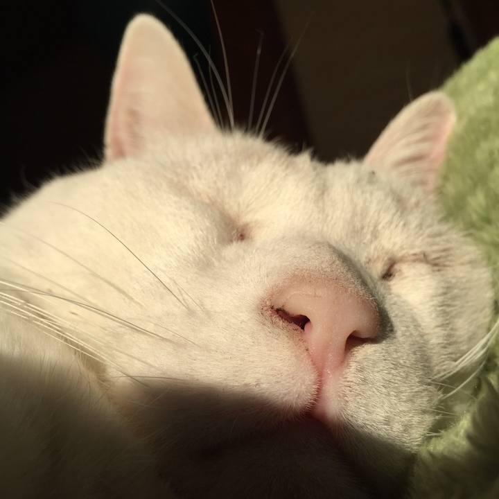 822caa40 7859 4734 8e98 26b49e1c3f67 1548026466706