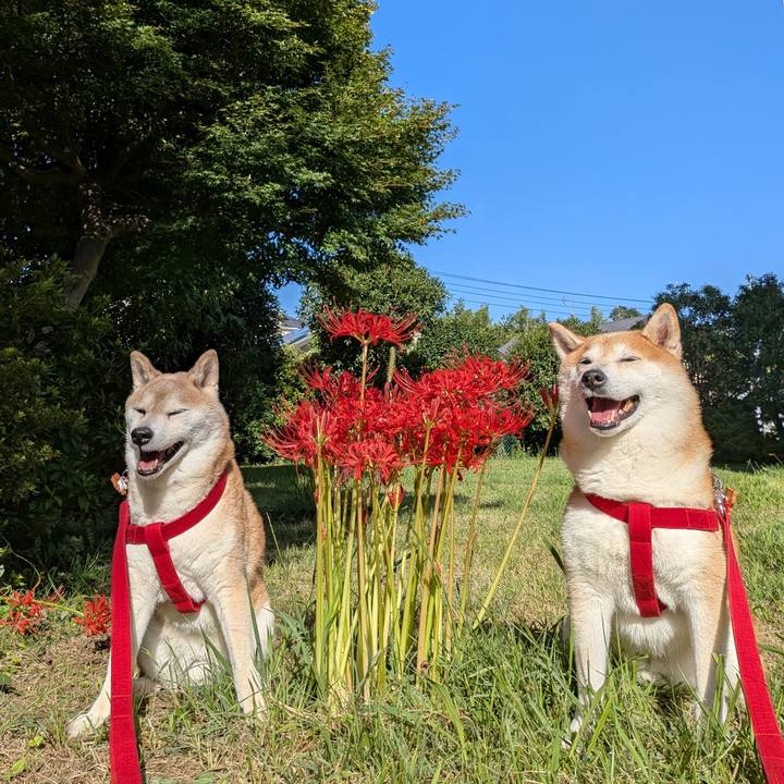 822ccaa5 e342 42db 8246 e26511ba2821 1758688596929