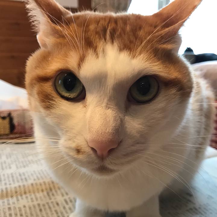 822cd628 42f5 4b07 aefd d8a79f96d70f 1581115714519